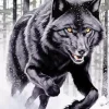 Black Wolf Art In Snow Diamond Painting