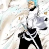 Bleach Grimmjow Diamond Painting