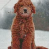 Goldendoodle Red Dog Diamond Painting