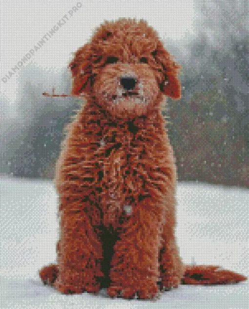 Goldendoodle Red Dog Diamond Painting