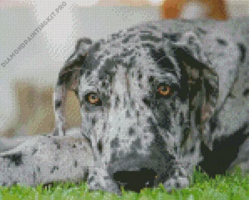 Great Dane Diamond Painting