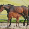 Mare And Foal Diamond Painting