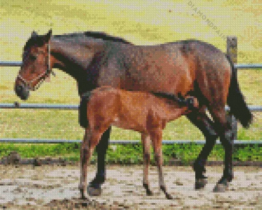 Mare And Foal Diamond Painting