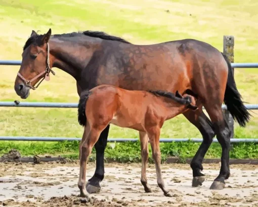 Mare And Foal Diamond Painting