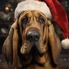 Christmas Bloodhound Diamond Painting