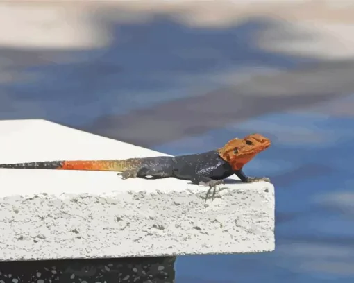 Orange Agama Diamond Painting