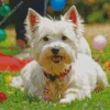 White Affenpinscher Diamond Painting