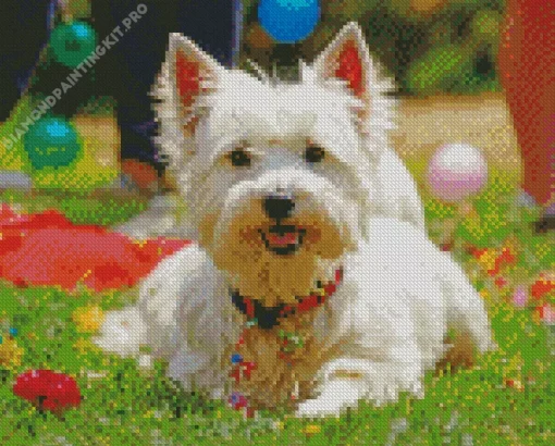 White Affenpinscher Diamond Painting