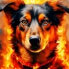 Aesthetic Fire Dog Diamond Painting