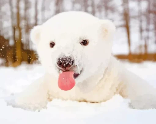 Baby Knut Polar Bear Diamond Painting