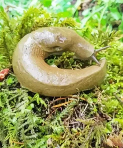 Banana Slug Diamond Painting