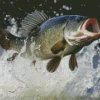 Bass Jumping Out Of Water Diamond Painting