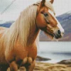 Blond Hair Horse Diamond Painting