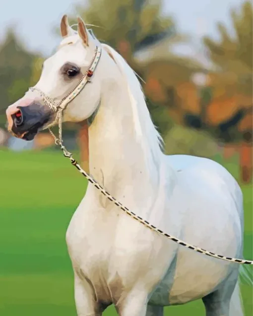 Blonde Arabian Horse Diamond Painting