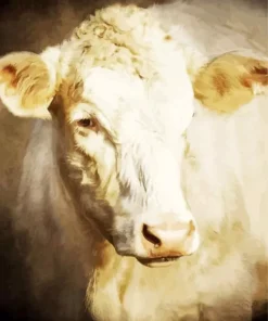 Blonde Cow Diamond Painting