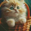 Blonde Kitten In Basket Diamond Painting