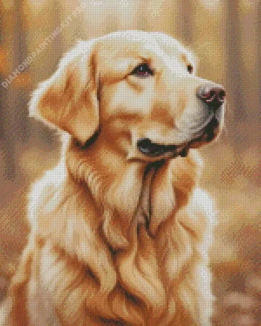 Blonde Labrador Diamond Painting