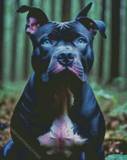 Blue Eyed Staffy Diamond Painting