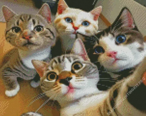 Cats Selfie Diamond Painting