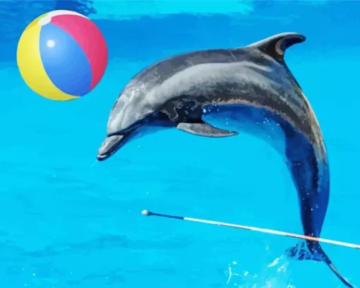 Dolphin Playing With Ball Diamond Painting