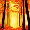 Fall Forest Art Diamond Painting