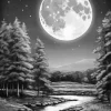 Full Moon Black And White Diamond Painting