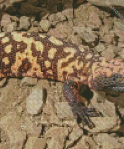 Gila Monster Diamond Painting