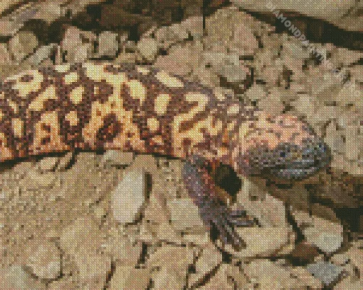 Gila Monster Diamond Painting