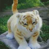 Golden Tiger Diamond Painting