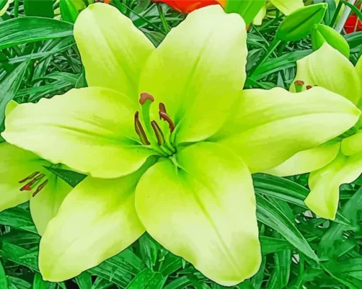 Green Lily Flower Diamond Painting