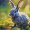 Grey Hare Animal Diamond Painting