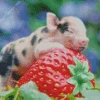 Pig With Strawberry Diamond Painting