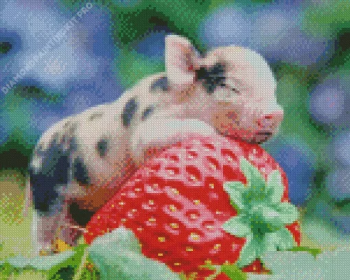 Pig With Strawberry Diamond Painting