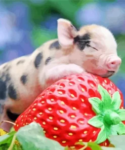 Pig With Strawberry Diamond Painting