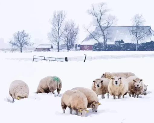 Sheep In Snow Diamond Painting