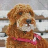 Snowy Red Golden Doodle Diamond Painting