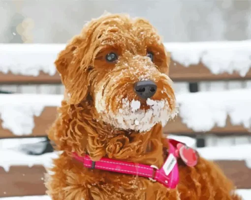Snowy Red Golden Doodle Diamond Painting
