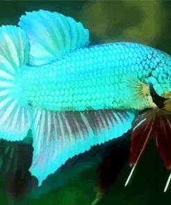 Betta Smaragdina Diamond Painting