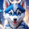 Blue Husky Puppy Diamond Painting