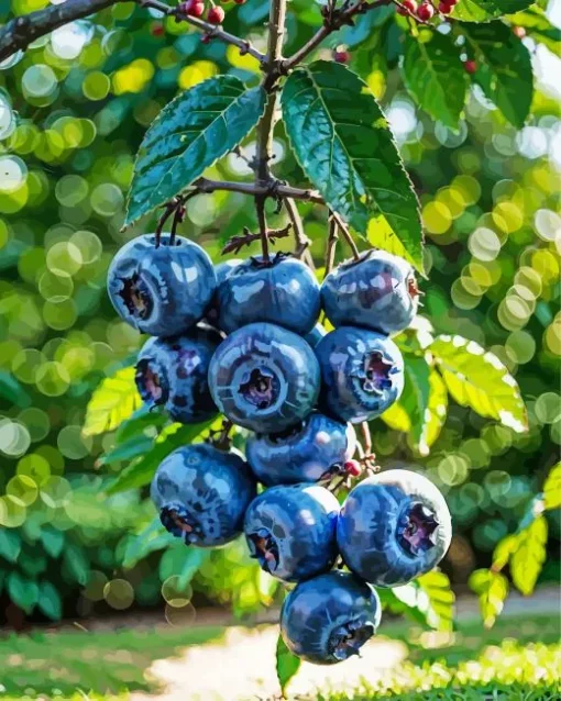 Blueberry Tree Diamond Painting