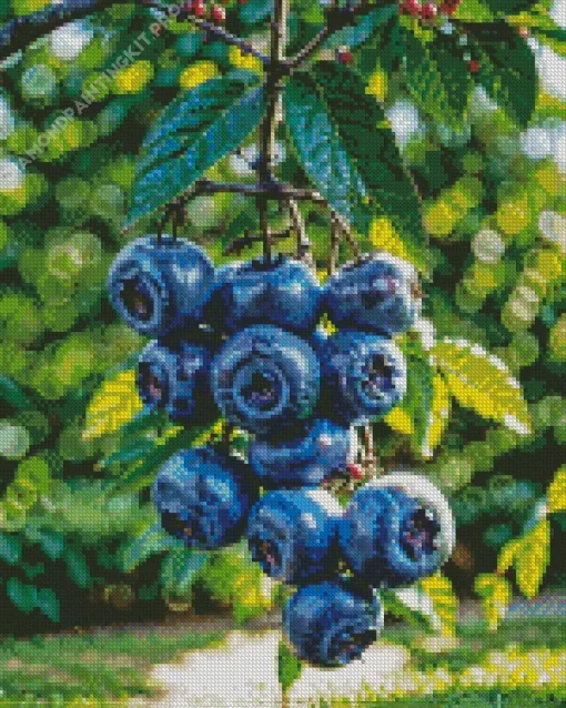 Blueberry Tree Diamond Painting