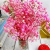 Pink Baby Breath Bouquet Diamond Painting