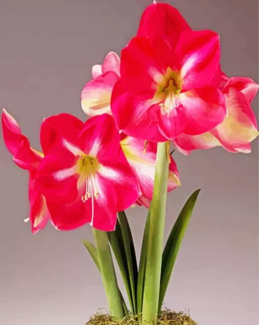 Amaryllis Flower Diamond Painting