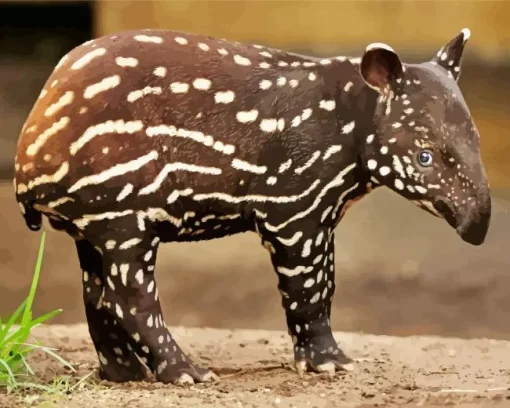 Baby Tapir Diamond Painting