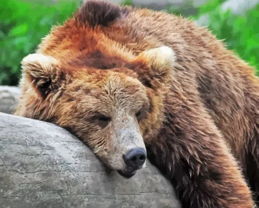 Bear Sleeping Diamond Painting