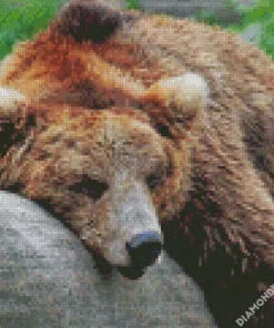 Bear Sleeping Diamond Painting