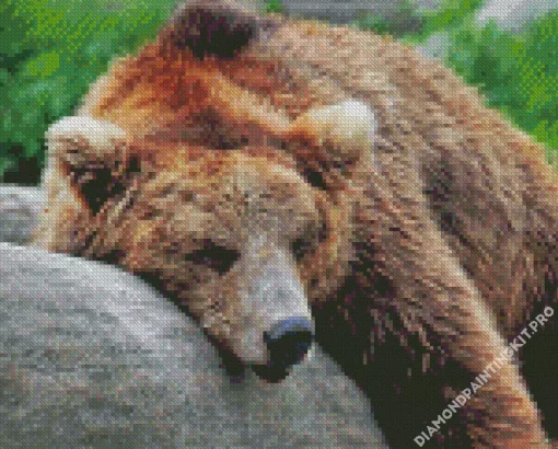 Bear Sleeping Diamond Painting