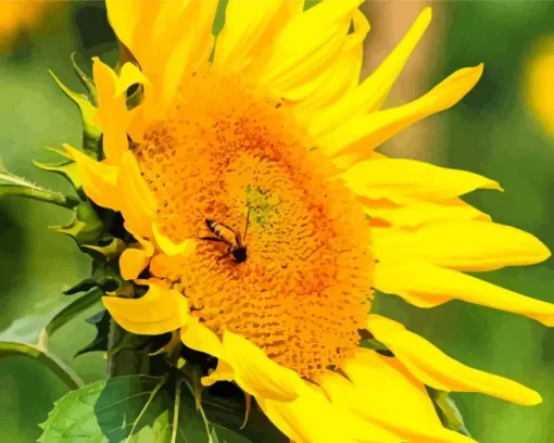 Bee On Sunflower Diamond Painting
