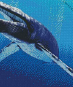 Big Blue Whale Diamond Painting
