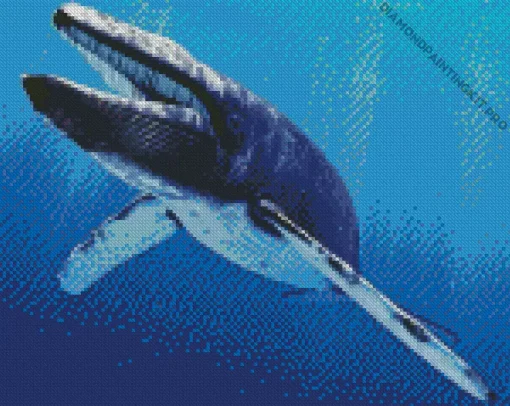 Big Blue Whale Diamond Painting